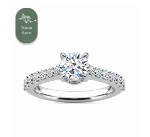 ARCTIC LIGHT Solitaire Rings