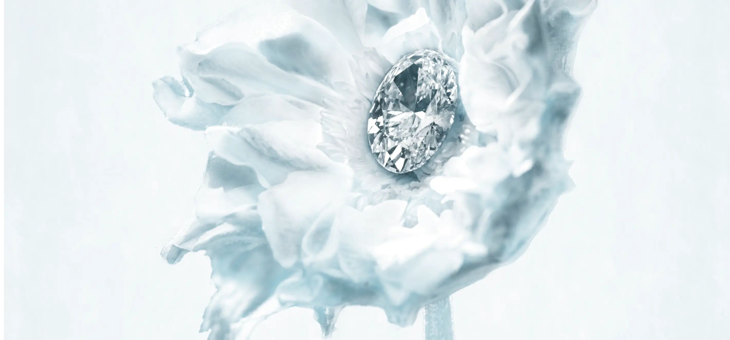 BLOOM Lab-Grown Diamonds Ernest Jones