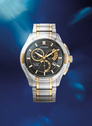 Citizen watches showroom online near me