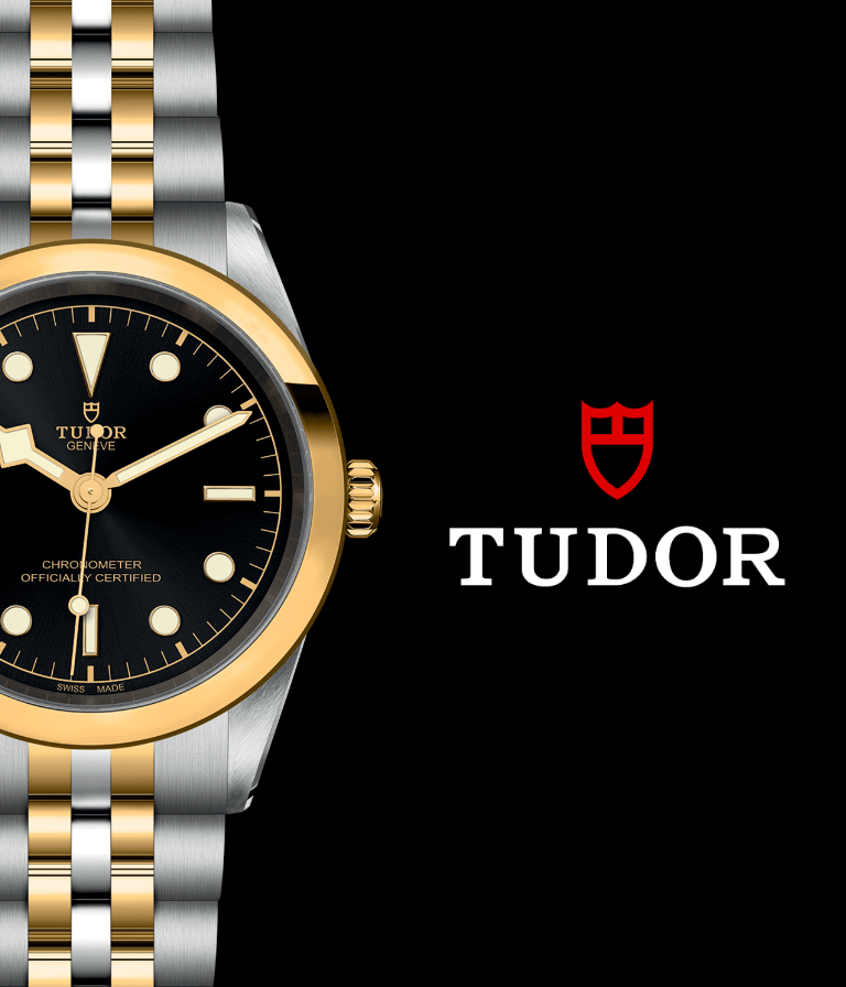 TUDOR Black Bay S&G